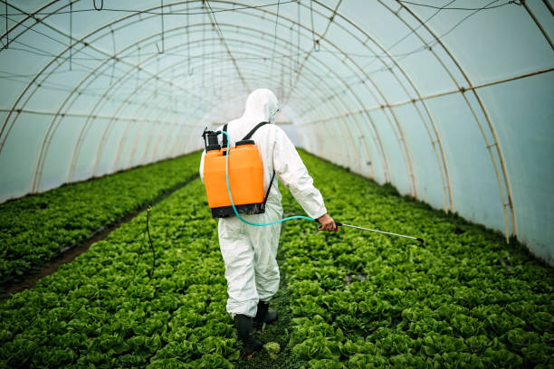 Best Pest Inspection Near Me  in Spurgeon, TN