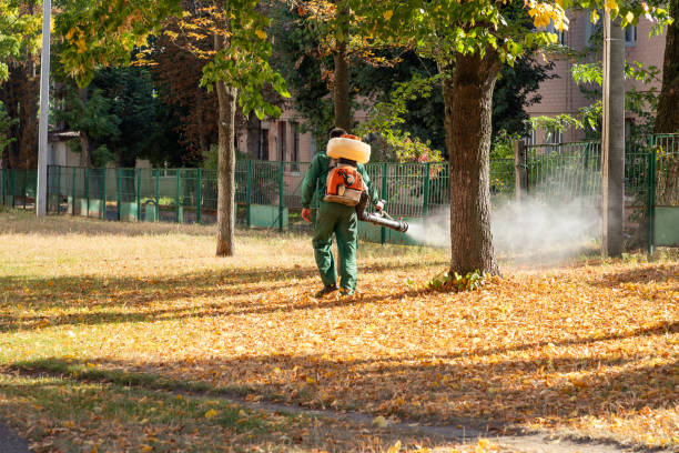 Best Best Pest Control Companies  in Spurgeon, TN